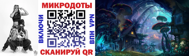 Купить где  Тарко-Сале  Псилоцибиновые грибы Psilocybe 